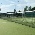 Business 3 image ARTIFICIAL GRASS PROS Artificial Grass in Tampa FL