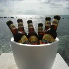 Business 7 image ASIA ITALY CUISINE in Mayaguez Un