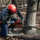 Business 2 image AURORA TREE COMPANY Tree Service in Aurora CO