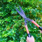 Business 1 image AYA TREE SERVICE CORP. Tree Trimming Service in Miami FL