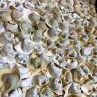 Business 9 image BACCO Wine Bars in San Francisco CA