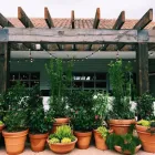 Business 13 image BARTACO Restaurant in Orlando FL