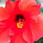 Business 44 image BARTACO Restaurant in Orlando FL