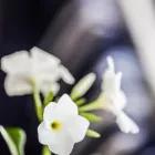 Business 63 image BARTACO Restaurant in Orlando FL