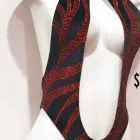 Business 12 image BELLA BURLESQUE Swimwear in Miami FL