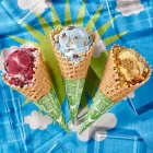 Business 8 image BEN & JERRY’S Wedding Catering in Orlando FL