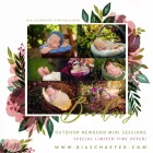 Business 3 image BIA SCHAEFER PHOTOGRAPHY Photographers in Orlando FL