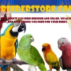 Business 1 image BIRD BREEDERS STORE Pets & Animals in Orlando FL