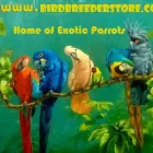 Business 2 image BIRD BREEDERS STORE Pets & Animals in Orlando FL