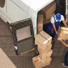 Business 4 image BLACK LABEL MOVING CO. Company Moving in Palm Harbor FL