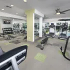 Business 3 image BLEECKER HYDE PARK APARTMENTS apartments tampa in Tampa FL