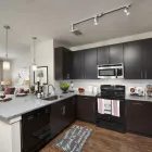 Business 5 image BLEECKER HYDE PARK APARTMENTS apartments tampa in Tampa FL