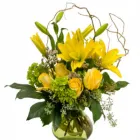 Business 3 image BLOOMINGDAYS FLOWER SHOP Florists in Tampa FL