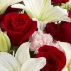 Business 8 image BLOOMS AND BOUQUETS Wedding Services in Tampa FL