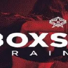 Business 8 image BOXSTAR TRAINING in Buffalo NY