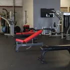 Business 28 image BOXTRIBE PERFORMANCE Gym in Winter Garden FL