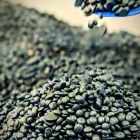 Business 13 image BRAZILS WAXING CENTER Women Waxing in Tampa FL