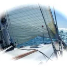 Business 5 image BREMEN SAILS Sailmakers in Miami FL