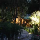 Business 2 image BUILT TO BLOOM in San Antonio TX