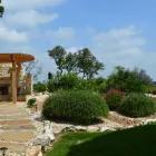 Business 4 image BUILT TO BLOOM in San Antonio TX