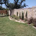 Business 6 image BUILT TO BLOOM in San Antonio TX