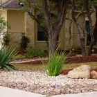 Business 26 image BUILT TO BLOOM in San Antonio TX