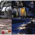 Business 30 image BUILT TO BLOOM in San Antonio TX