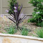 Business 35 image BUILT TO BLOOM in San Antonio TX