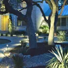 Business 37 image BUILT TO BLOOM in San Antonio TX