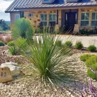 Business 39 image BUILT TO BLOOM in San Antonio TX