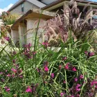 Business 41 image BUILT TO BLOOM in San Antonio TX