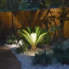 Business 47 image BUILT TO BLOOM in San Antonio TX