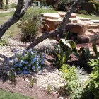 Business 54 image BUILT TO BLOOM in San Antonio TX