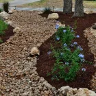 Business 55 image BUILT TO BLOOM in San Antonio TX