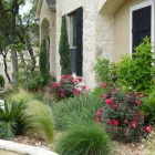 Business 57 image BUILT TO BLOOM in San Antonio TX