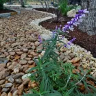 Business 58 image BUILT TO BLOOM in San Antonio TX