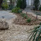 Business 60 image BUILT TO BLOOM in San Antonio TX