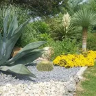 Business 64 image BUILT TO BLOOM in San Antonio TX