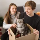 Business 1 image CALIFORNIA OFFICE MOVERS LOS ANGELES Moving Company in Los Angeles CA