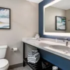 Business 23 image CAMBRIA HOTEL ORLANDO AIRPORT in Orlando FL