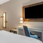 Business 29 image CAMBRIA HOTEL ORLANDO AIRPORT in Orlando FL