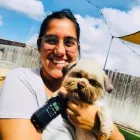 Business 3 image CAMP KIRBY DOG Pet Grooming in San Diego CA