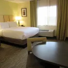 Business 30 image CANDLEWOOD SUITES LAKE MARY, AN IHG HOTEL in Lake Mary FL