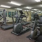 Business 36 image CANDLEWOOD SUITES LAKE MARY, AN IHG HOTEL in Lake Mary FL