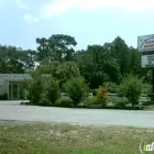 Business 1 image CARROLLWOOD COMMUNITY ANIMAL HOSPITAL Veterinary Specialty Services in Tampa FL