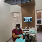 Business 1 image CARROLLWOOD DENTAL STUDIO - TAMPA Tmj Specialist in Tampaa FL