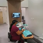 Business 2 image CARROLLWOOD DENTAL STUDIO - TAMPA Tmj Specialist in Tampaa FL