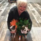 Business 6 image CBD AMERICAN SHAMAN CHOUTEAU in Kansas City MO