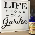 Business 19 image CBD AMERICAN SHAMAN CHOUTEAU in Kansas City MO