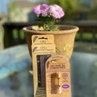 Business 23 image CBD AMERICAN SHAMAN CHOUTEAU in Kansas City MO